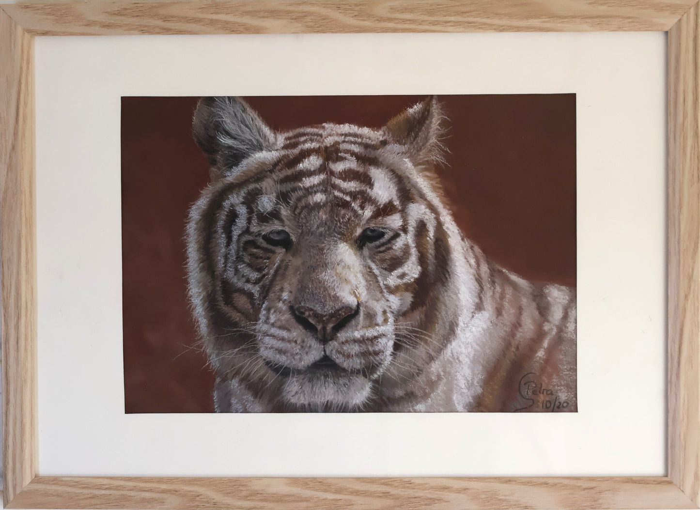 "Gaze of Majesty" Original Study in Soft Pastels 30.5cm x 23cm