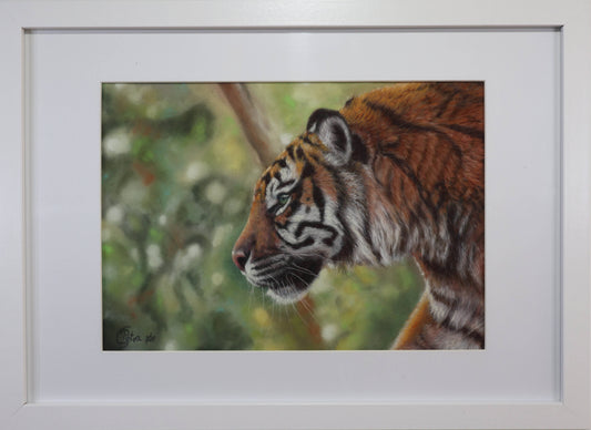 "Whisper of the Wild" Original Study in soft Pastels 32cm x 24cm