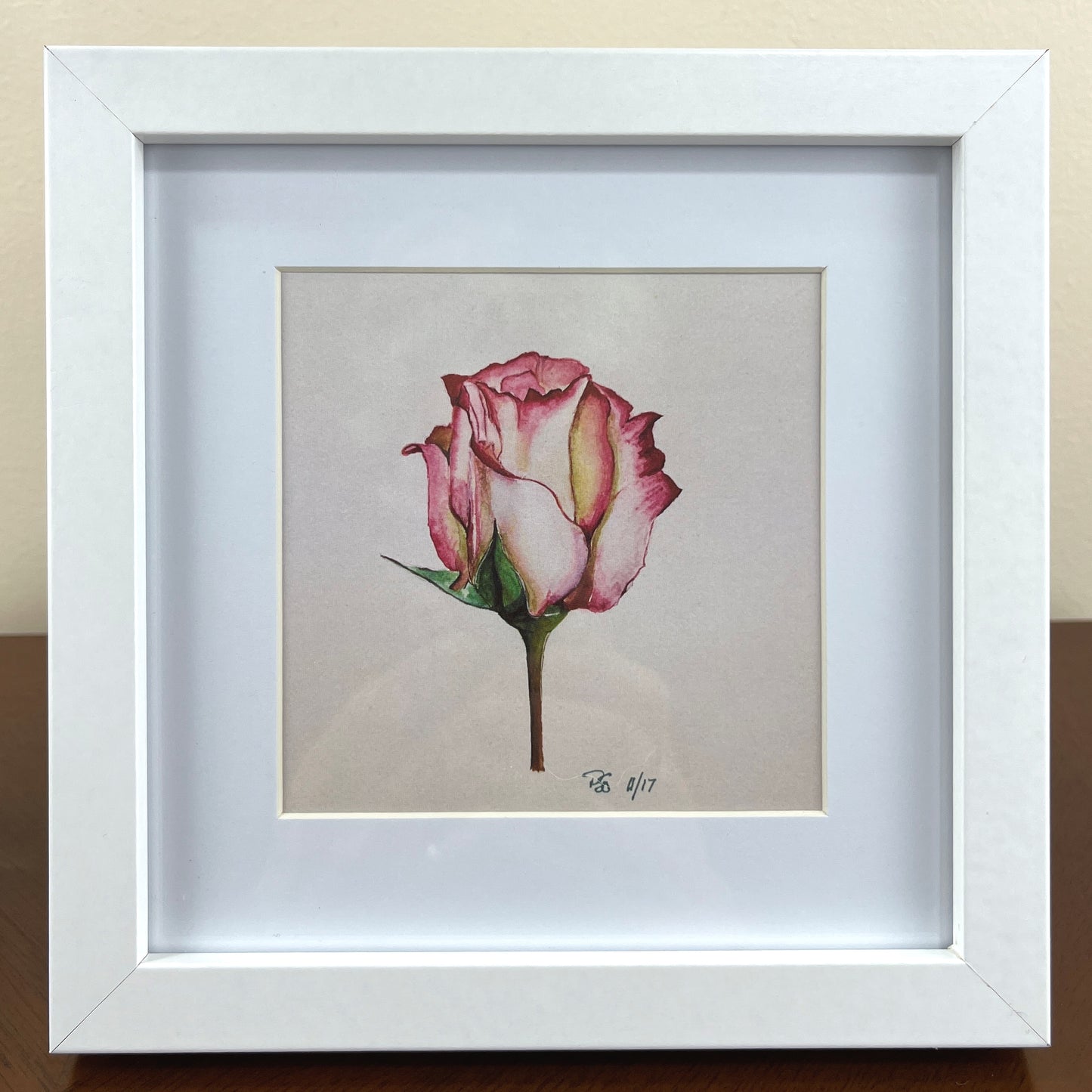 Print "Rose Study" 10x10cm, framed 17x17 cm